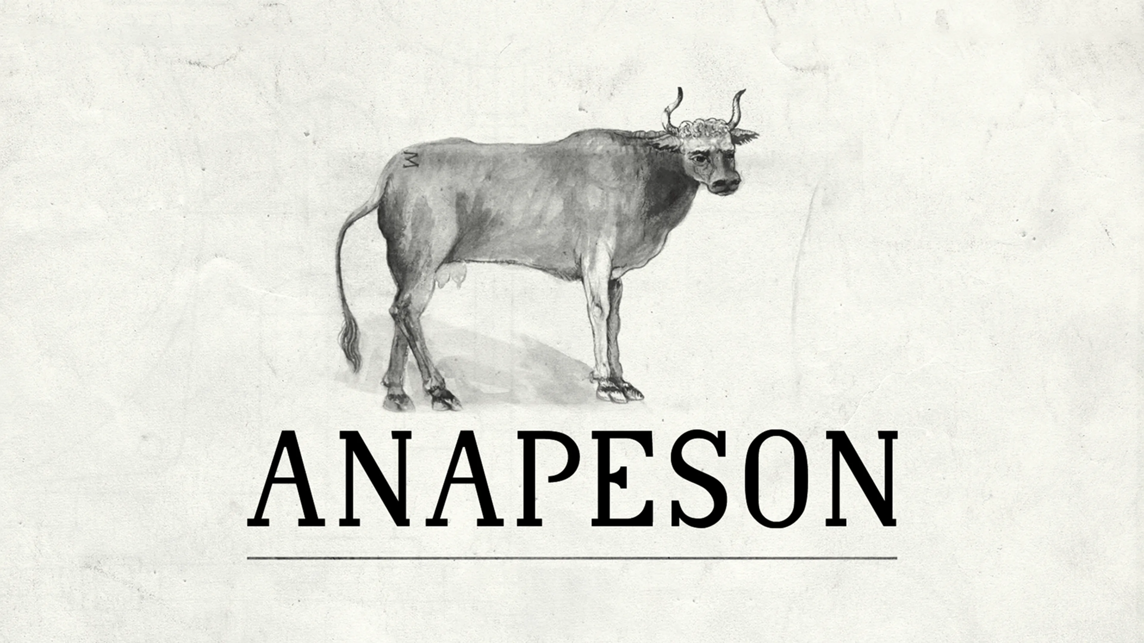 Anapeson poster